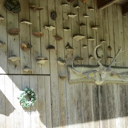 Zweilinden Daire Steinen (Lorrach)