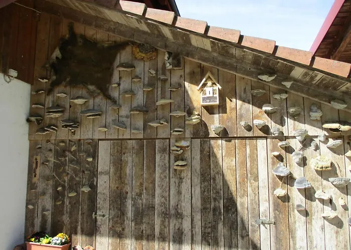 Zweilinden Appartamento Steinen (Lorrach)