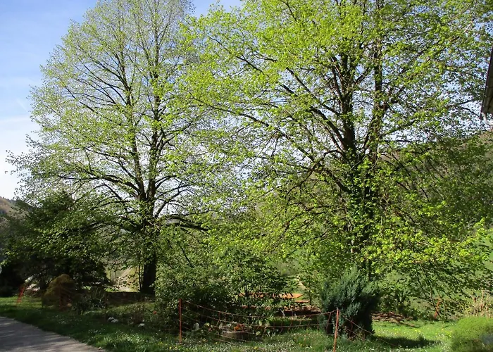 Zweilinden * Steinen (Lorrach)