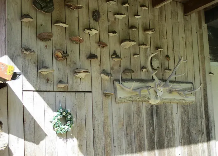 Zweilinden Lägenhet Steinen (Lorrach)